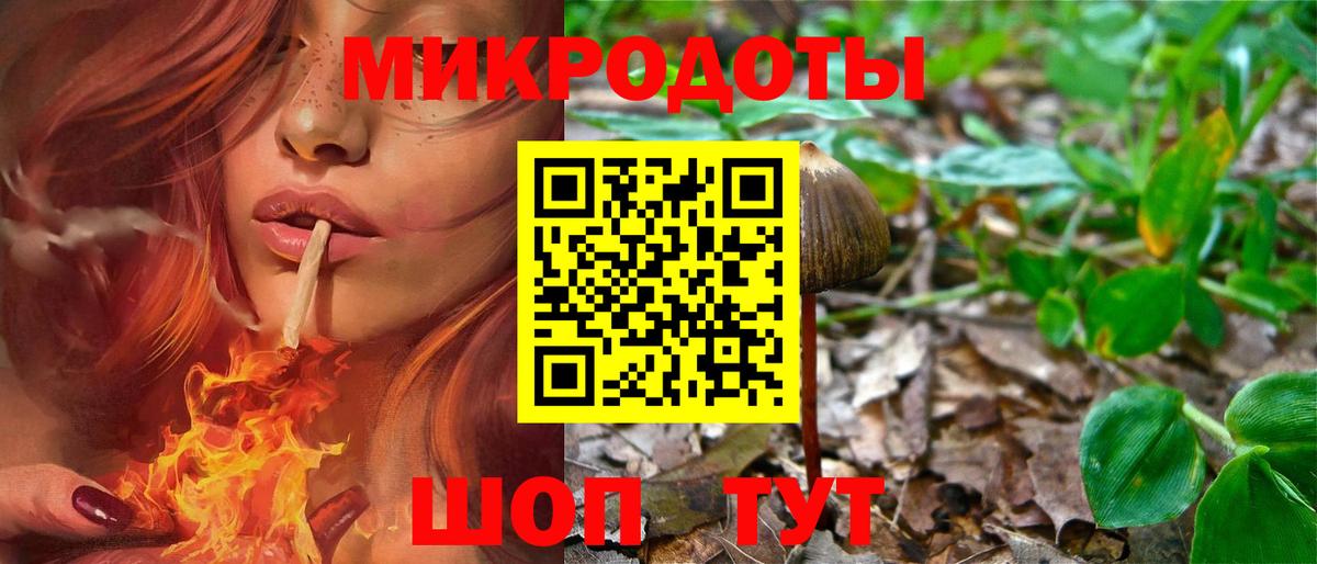 Галлюциногенные грибы мицелий Москва
