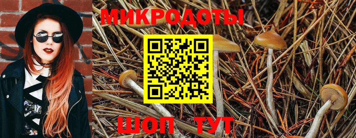 Псилоцибиновые грибы Cubensis  Вход с VPN  Галлюциногенные грибы Magic Shrooms  Москва 